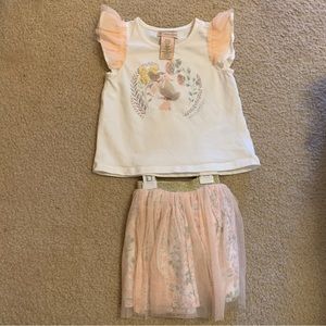 Fairy Outfit Size 24 Months Tutu Skirt Shirt Flowers Pink Girl Fairies